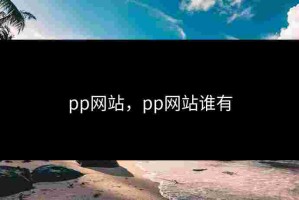 pp网站，pp网站谁有