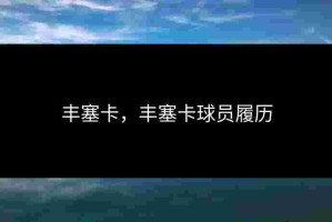 丰塞卡，丰塞卡球员履历