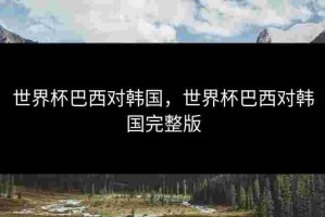 世界杯巴西对韩国，世界杯巴西对韩国完整版