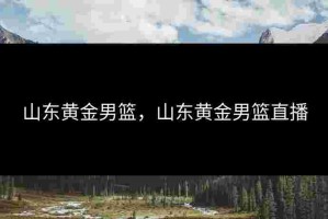 山东黄金男篮，山东黄金男篮直播